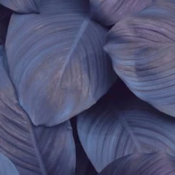 Abat-jours Lampes à Poser Abat-jour Chevet Floral Puja T 25 X H 20 -Luminaires Contemporain Soldes abat jour chevet floral puja t 25 x h 20 2