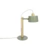 DIZY Design Lampes à Poser Lampe à Poser En Chêne Et Métal Vert